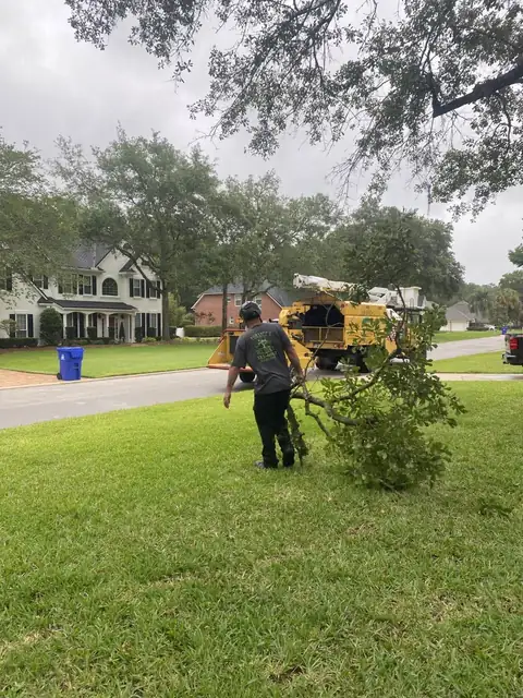 Forshee's Tree Service technician taking cut trees to the side of the road