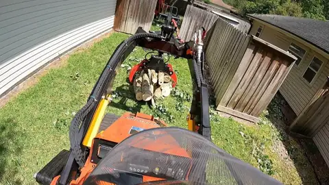 Storm-damaged tree debris being cleared from a residential yard