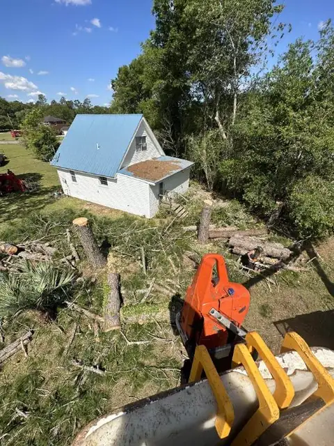A fallen tree being cut up after a storm