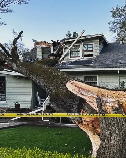 Large tree that has fallen on a home, with caution tape around the house, before emergency removal