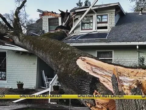 Large tree that has fallen on a home, with caution tape around the house, before emergency removal