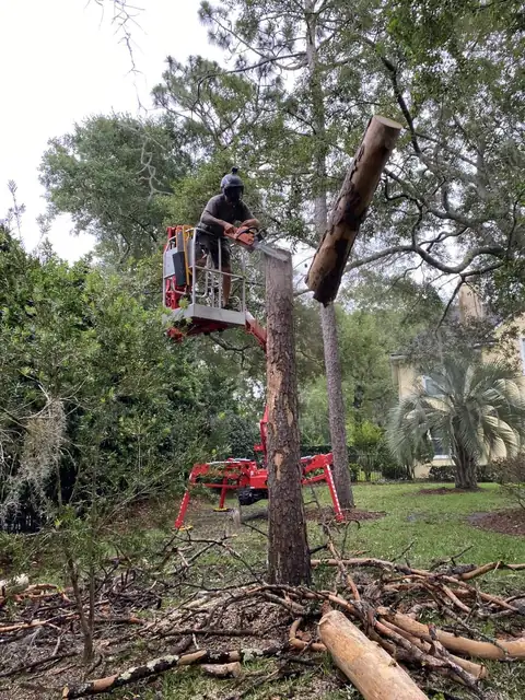 Tree removal being performed from the CMC 72HD+ Arbor Pro tracked lift