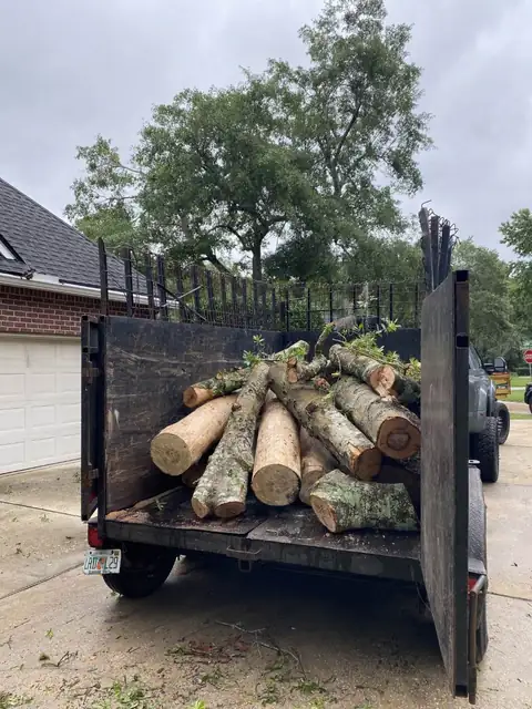 A trunk section being cut and lowered during a tree removal