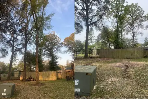 A tree removal expert using specialized equipment to safely remove a tree