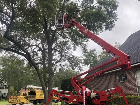Using the CMC 72HD+ Arbor Pro to trim a large tree